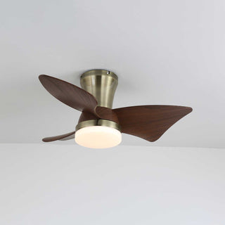 Ventilateur de Plafond Moderne en Bois Caspian avec Lumière