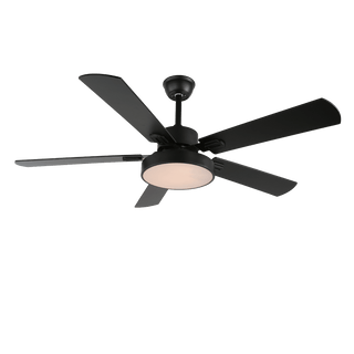 Ventilateur de Plafond Moderne Aerilux en Bois avec Lumière