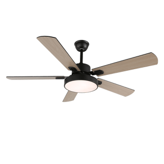 Ventilateur de Plafond Moderne Aerilux en Bois avec Lumière