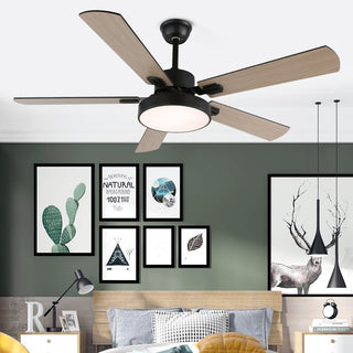 Ventilateur de Plafond Moderne Aerilux en Bois avec Lumière
