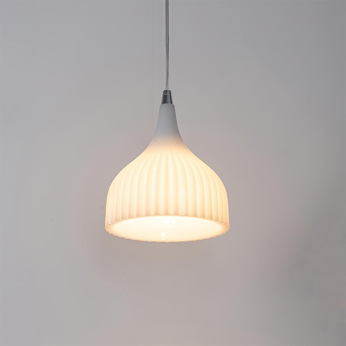Ciraneria Suspension Flare