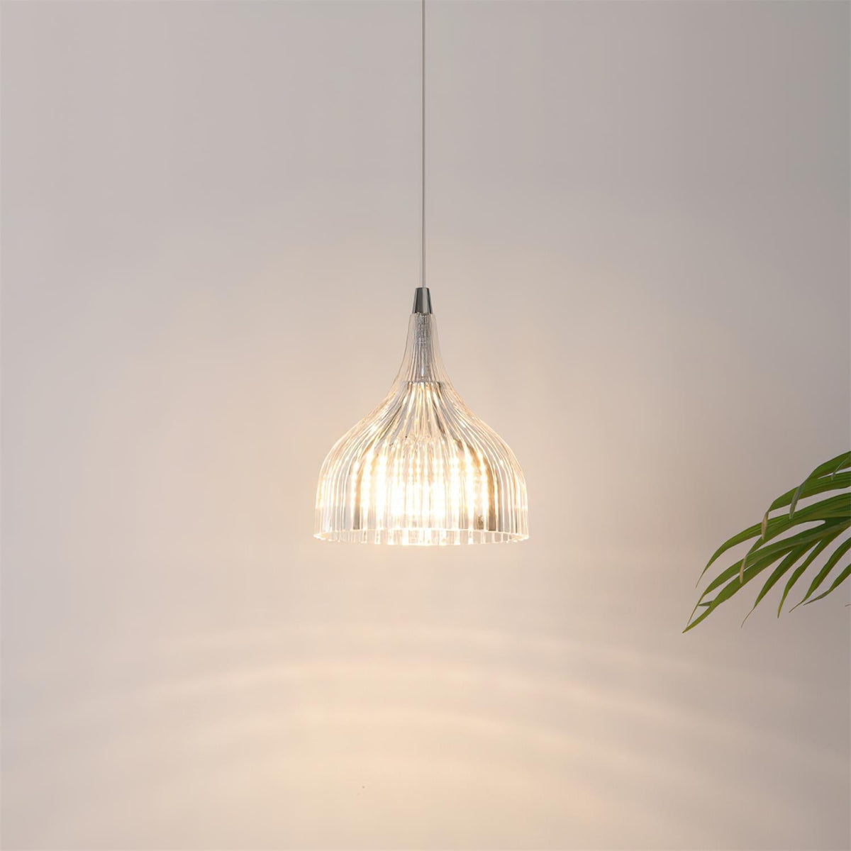 Ciraneria Suspension Flare