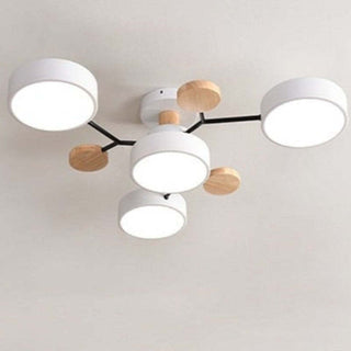 Arisha Plafonnier Rond Moderne, Métal/Bois, Blanc/Vert/Gris, Salon