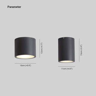 Ray Plafonnier Cylindre Moderne, Métal/Verre, Noir, Extérieur