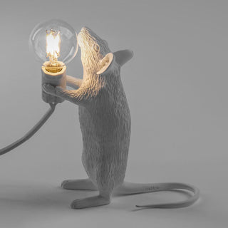 Kalinix Lampe de Table Résine Fantaisie
