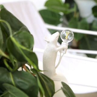 Kalinix Lampe de Table Résine Fantaisie