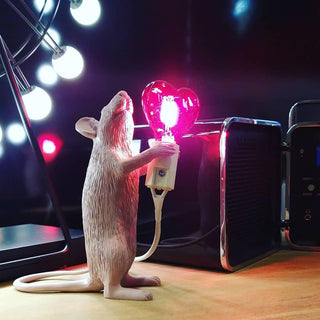 Kalinix Lampe de Table Résine Fantaisie