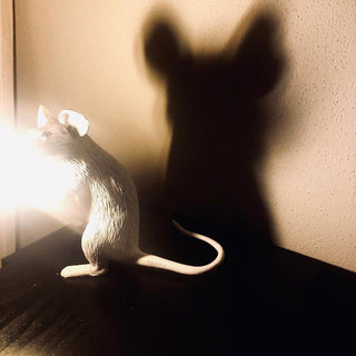 Kalinix Lampe de Table Résine Fantaisie