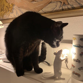 Kalinix Lampe de Table Résine Fantaisie