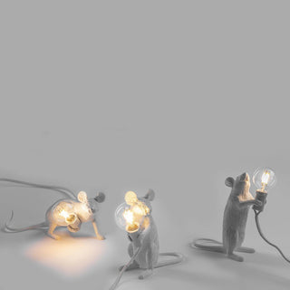 Kalinix Lampe de Table Résine Fantaisie