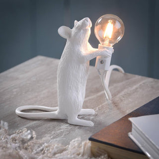 Kalinix Lampe de Table Résine Fantaisie