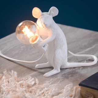 Kalinix Lampe de Table Résine Fantaisie