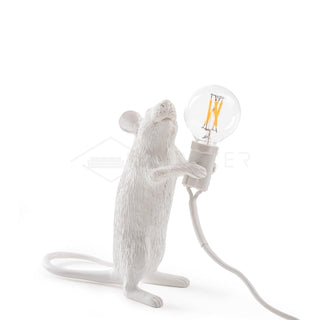 Kalinix Lampe de Table Résine Fantaisie